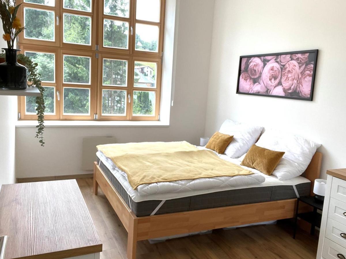 Residence Kotel Rokytnice nad Jizerou Dış mekan fotoğraf